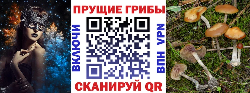 Галлюциногенные грибы прущие грибы Купить закладки Лебедянь